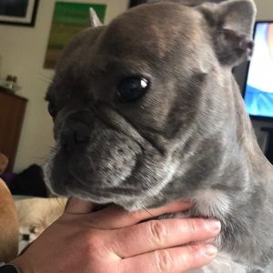 Meet your Posher, Corrinn